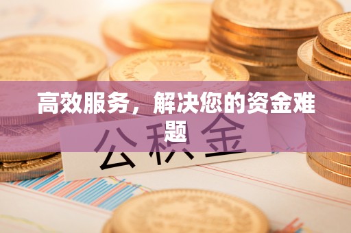 蒸湘高效服务，解决您的资金难题