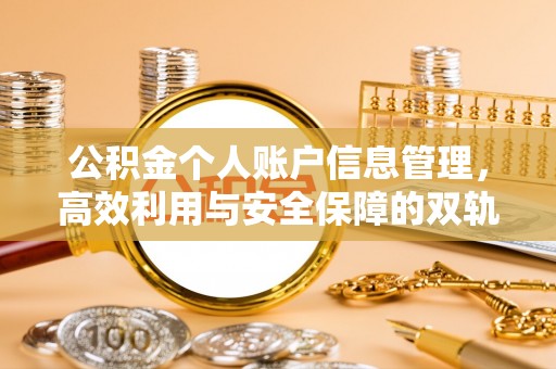 蒸湘公积金个人账户信息管理，高效利用与安全保障的双轨并行
