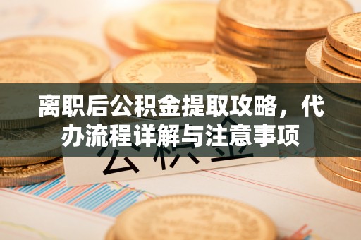 蒸湘离职后公积金提取攻略，代办流程详解与注意事项