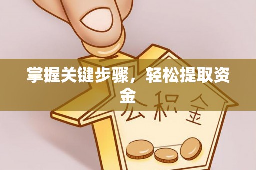蒸湘掌握关键步骤，轻松提取资金