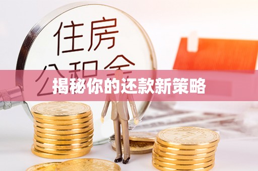 蒸湘揭秘你的还款新策略