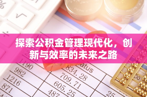 蒸湘探索公积金管理现代化，创新与效率的未来之路