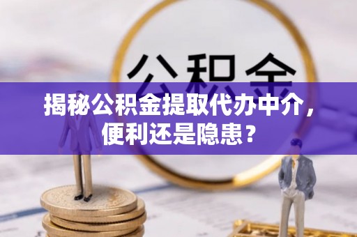 蒸湘揭秘公积金提取代办中介，便利还是隐患？