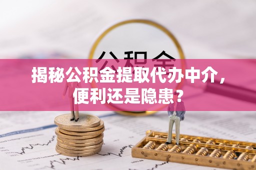 蒸湘揭秘公积金提取代办中介，便利还是隐患？