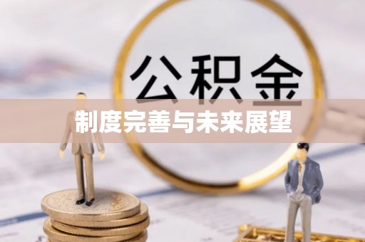 蒸湘制度完善与未来展望