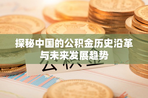 蒸湘探秘中国的公积金历史沿革与未来发展趋势