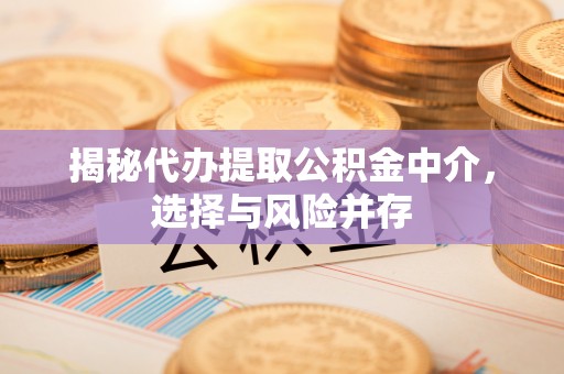 蒸湘揭秘代办提取公积金中介，选择与风险并存
