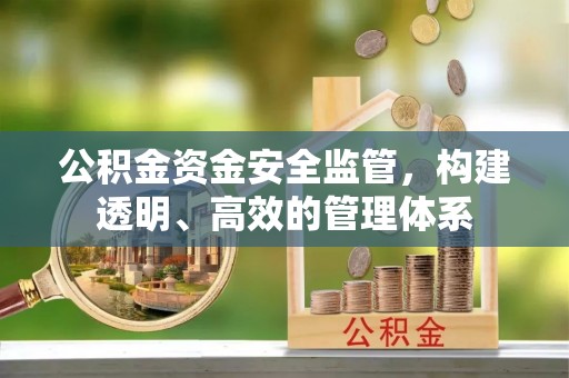 蒸湘公积金资金安全监管，构建透明、高效的管理体系