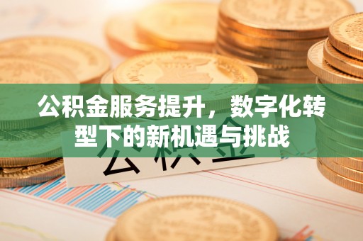 蒸湘公积金服务提升，数字化转型下的新机遇与挑战
