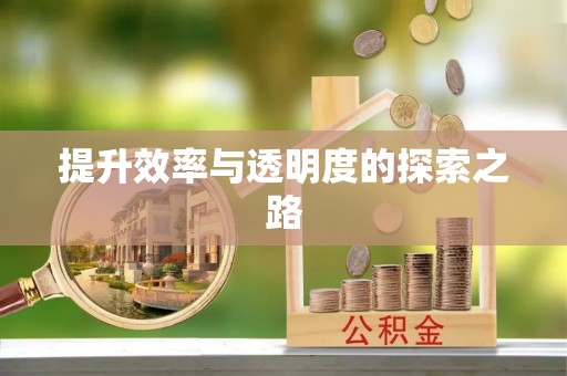 蒸湘提升效率与透明度的探索之路