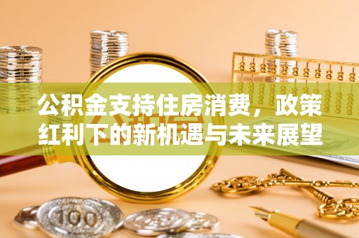 蒸湘公积金支持住房消费，政策红利下的新机遇与未来展望