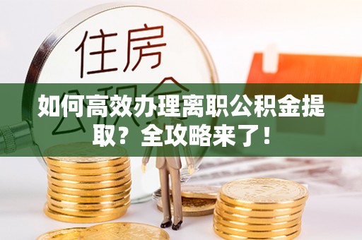 蒸湘如何高效办理离职公积金提取？全攻略来了！