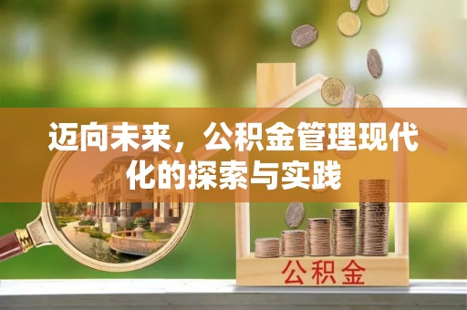 蒸湘迈向未来，公积金管理现代化的探索与实践