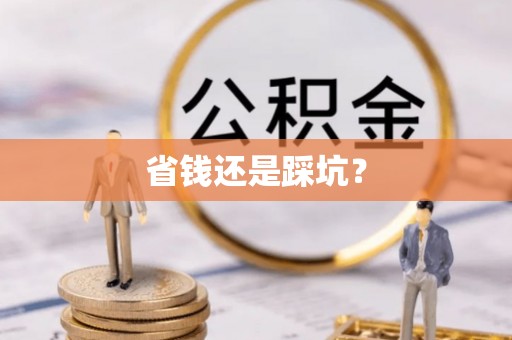蒸湘省钱还是踩坑？