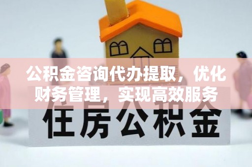 蒸湘公积金咨询代办提取，优化财务管理，实现高效服务