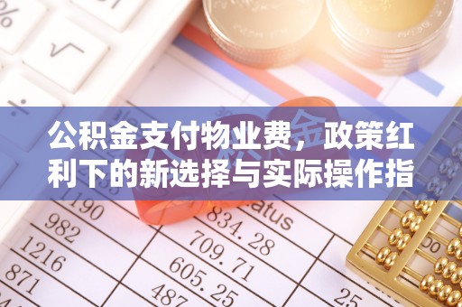 蒸湘公积金支付物业费，政策红利下的新选择与实际操作指南