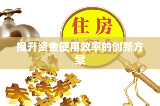 蒸湘提升资金使用效率的创新方案