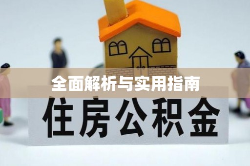 蒸湘全面解析与实用指南