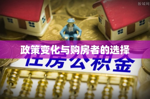 蒸湘政策变化与购房者的选择
