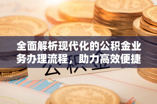 蒸湘全面解析现代化的公积金业务办理流程，助力高效便捷生活