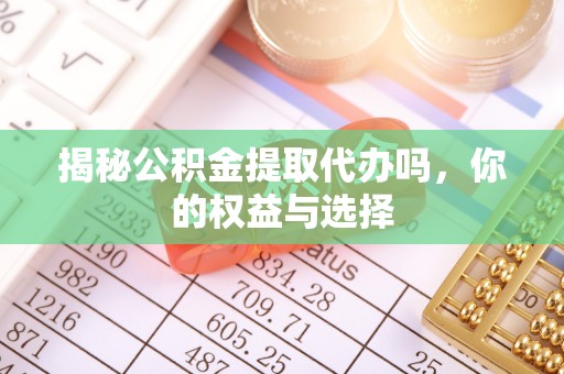 蒸湘揭秘公积金提取代办吗，你的权益与选择