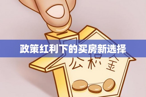 蒸湘政策红利下的买房新选择