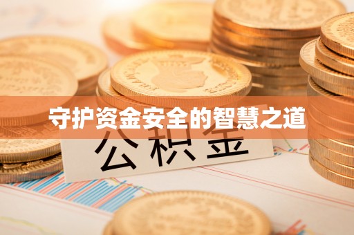 蒸湘守护资金安全的智慧之道