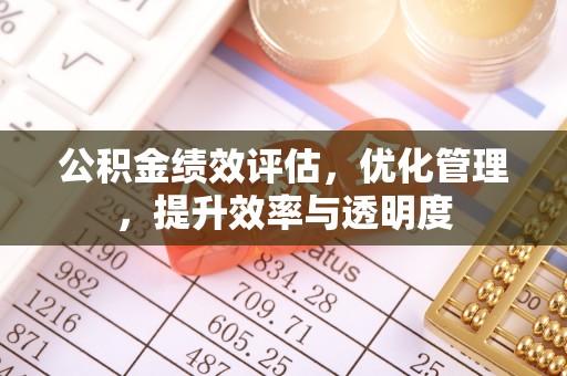 蒸湘公积金绩效评估，优化管理，提升效率与透明度
