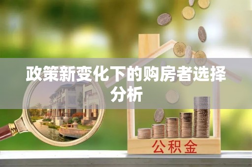 蒸湘政策新变化下的购房者选择分析