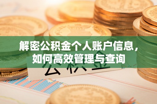 蒸湘解密公积金个人账户信息，如何高效管理与查询