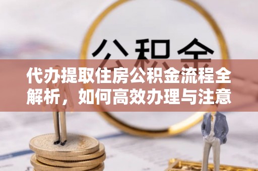 蒸湘代办提取住房公积金流程全解析，如何高效办理与注意事项