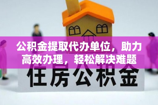 蒸湘公积金提取代办单位，助力高效办理，轻松解决难题