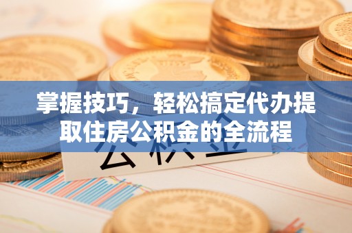 蒸湘掌握技巧，轻松搞定代办提取住房公积金的全流程