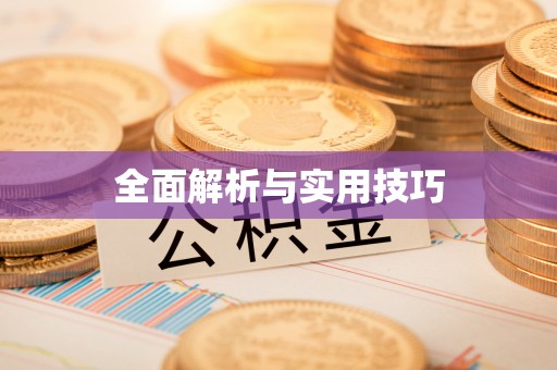 蒸湘全面解析与实用技巧
