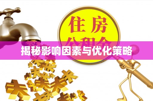 蒸湘揭秘影响因素与优化策略