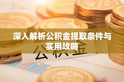 蒸湘深入解析公积金提取条件与实用攻略
