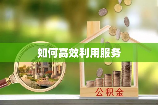 蒸湘如何高效利用服务