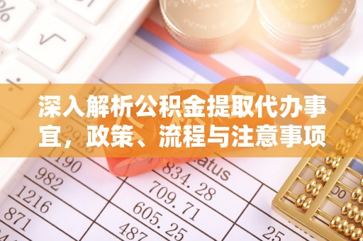蒸湘深入解析公积金提取代办事宜，政策、流程与注意事项全攻略