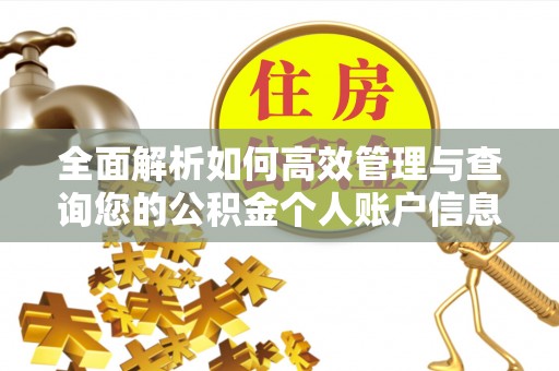 蒸湘全面解析如何高效管理与查询您的公积金个人账户信息