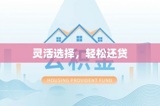 蒸湘灵活选择，轻松还贷