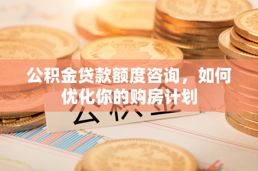 蒸湘公积金贷款额度咨询，如何优化你的购房计划