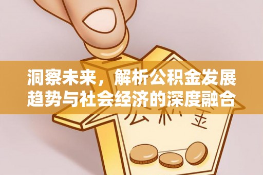 蒸湘洞察未来，解析公积金发展趋势与社会经济的深度融合