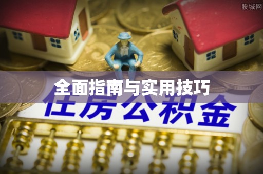 蒸湘全面指南与实用技巧