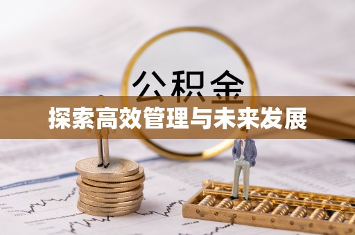 蒸湘探索高效管理与未来发展