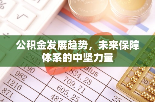 蒸湘公积金发展趋势，未来保障体系的中坚力量