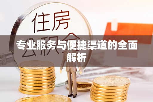 蒸湘专业服务与便捷渠道的全面解析