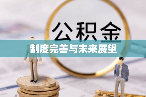 蒸湘制度完善与未来展望