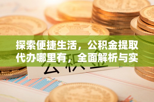 蒸湘探索便捷生活，公积金提取代办哪里有，全面解析与实用指南