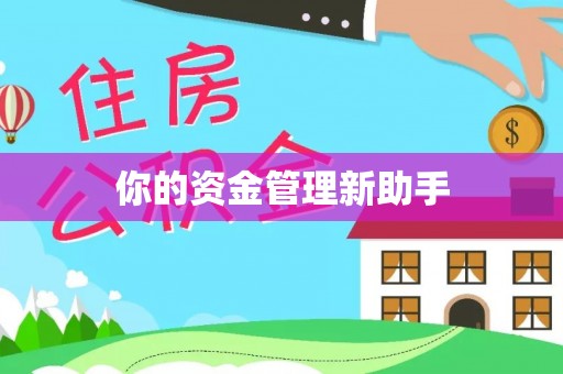 蒸湘你的资金管理新助手