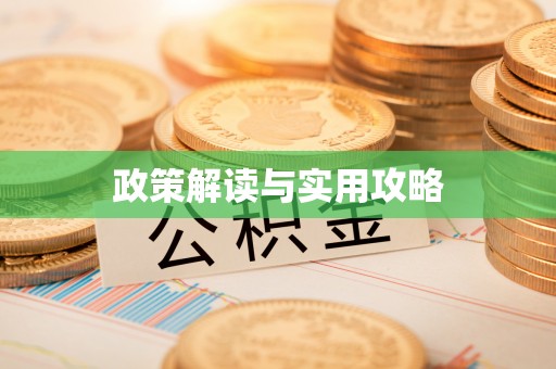 蒸湘政策解读与实用攻略